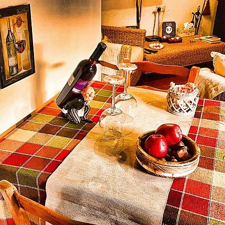 艾琳之家酒店 度假居 *