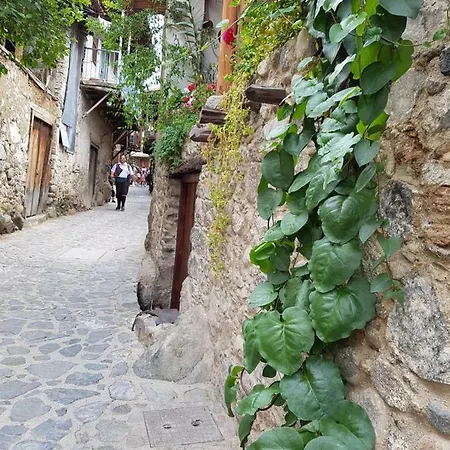 艾琳之家酒店 *