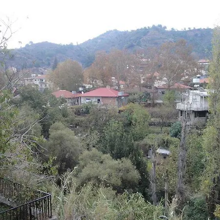 Irene's House