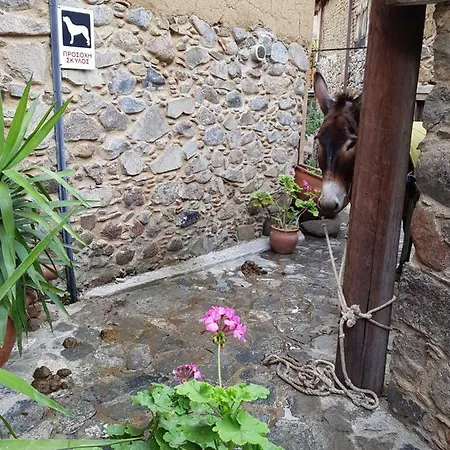 Irene's House Kakopetria